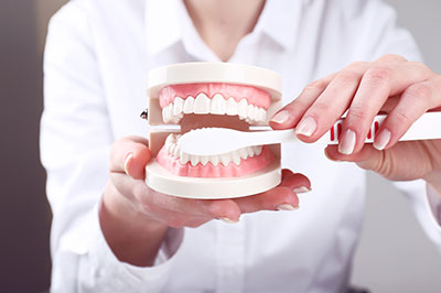 The image features a person holding a model set of teeth, with the upper and lower dental arches separated by a small gap, possibly for demonstration or educational purposes.